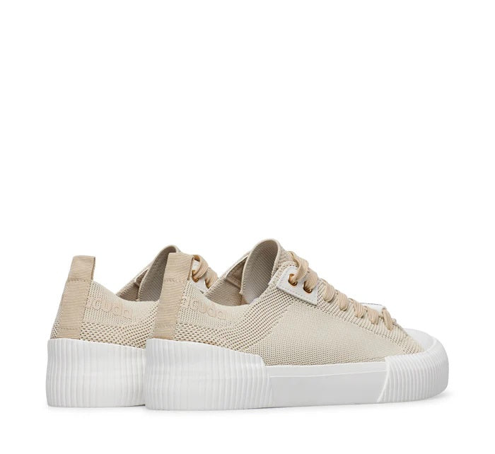 Sneakers Barracuda Sprint